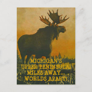 MOOSE AT SUNSET ~ UPPER PENINSULA TRAVEL POSTCARD