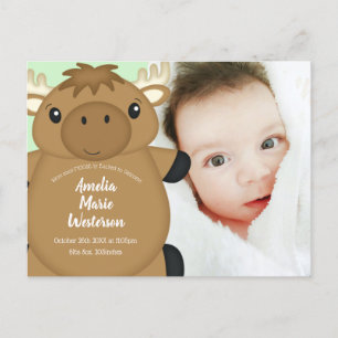 Moose Baby Shower Green Postcard