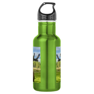 Moose Bottle