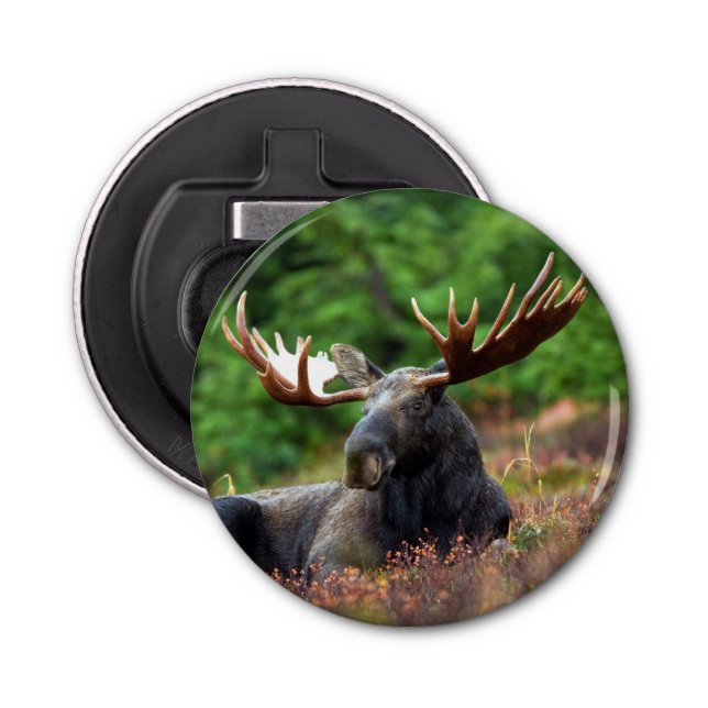 Moose Bottle Opener (Front)