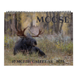Moose Calendar - Large Size