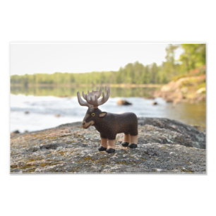 Moose Camping Photo Print