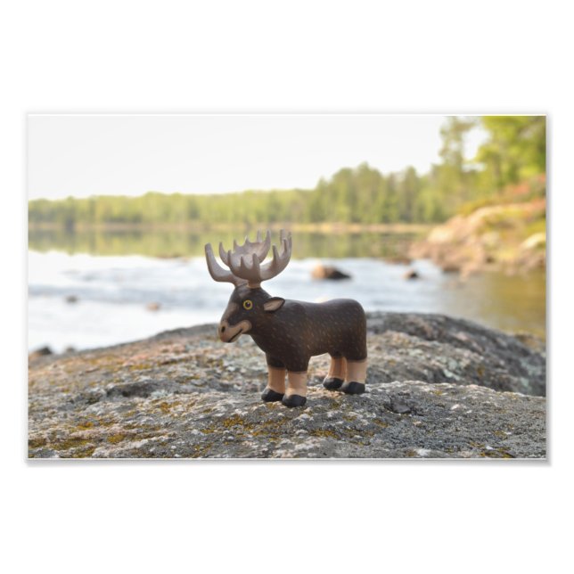 Moose Camping Photo Print (Front)