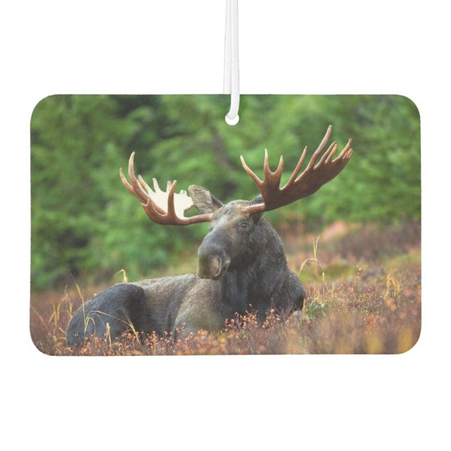 Moose Car Air Freshener (Front)
