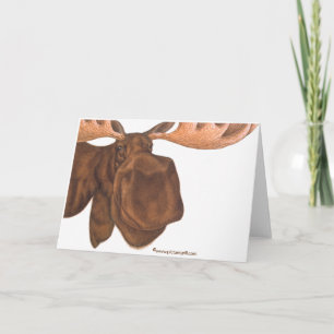 moose card