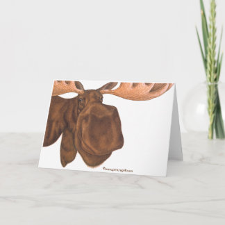 moose card