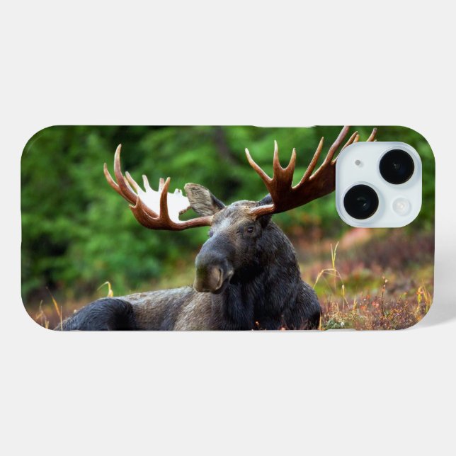 Moose Case-Mate iPhone Case (Back (Horizontal))