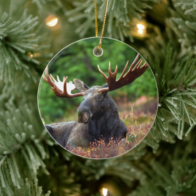 Moose Ceramic Ornament (Tree)