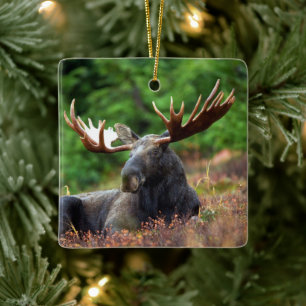 Moose Ceramic Ornament
