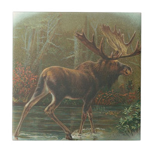 Moose Ceramic Tile