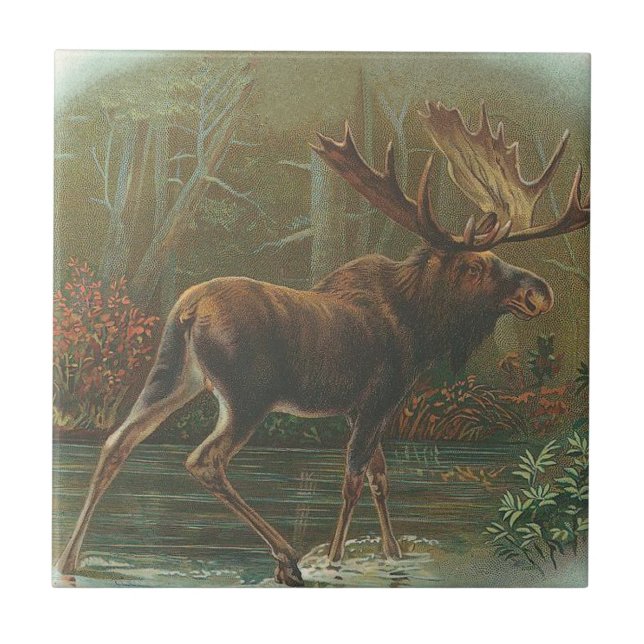 Moose Ceramic Tile (Front)