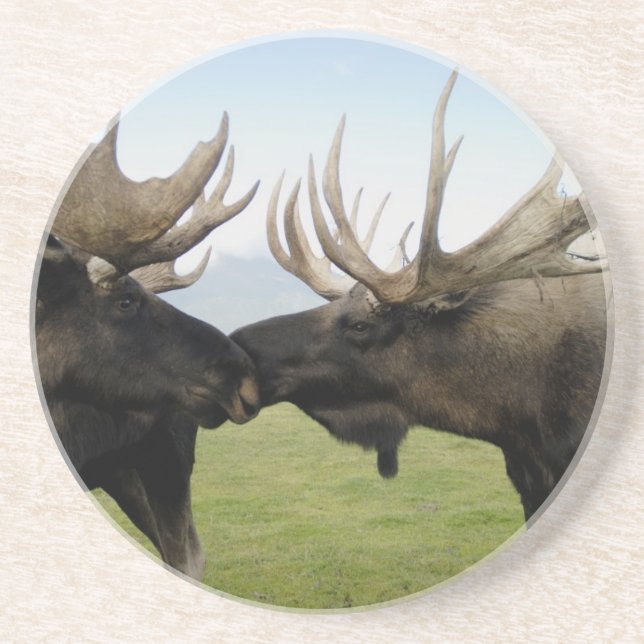 Moose Coaster (Front)