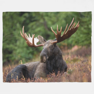 Moose, Country, Wild Animal, Photo, Custom Fleece Blanket