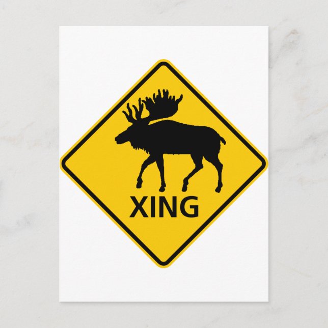 Moose Crossing Highway Sign Postcard (Front)