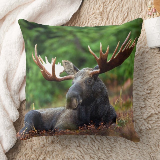 Moose  cushion (Blanket)