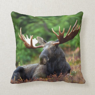 Moose Cushion