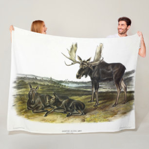 Moose Deer (Moose - Alces alces) by Audubon Fleece Blanket