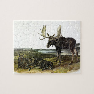 Moose Deer (Moose - Alces alces) by Audubon Jigsaw Puzzle