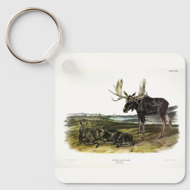 Moose Deer (Moose - Alces alces) by Audubon Key Ring (Front)