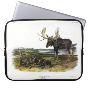 Moose Deer (Moose - Alces alces) by Audubon Laptop Sleeve