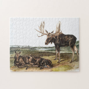 Moose Deer (Servus alces) Illustration Jigsaw Puzzle