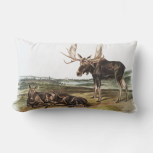 Moose Deer (Servus alces) Illustration Lumbar Cushion