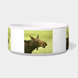 Moose Did Someone Say Cake