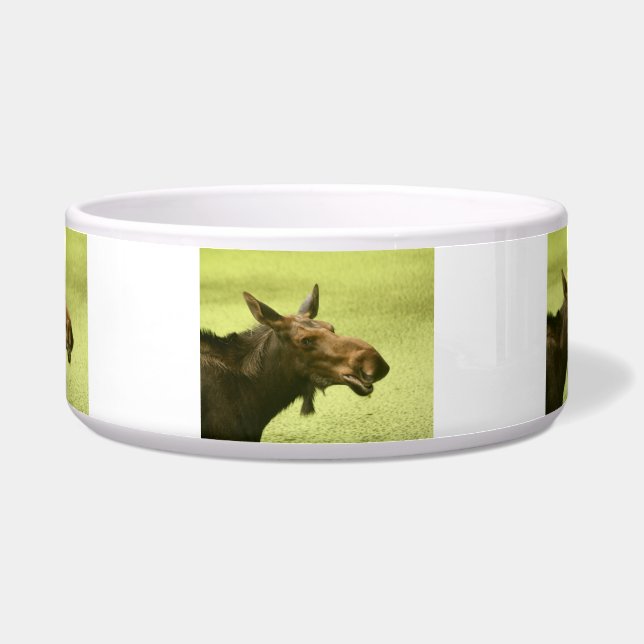 Moose Did Someone Say Cake (Front)