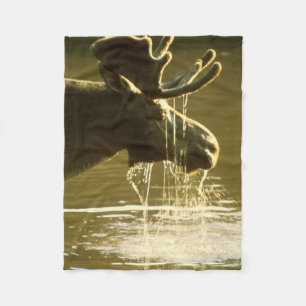 Moose Dipping His Head Into Water Fleece Blanket