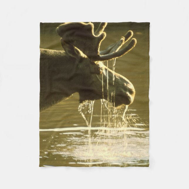 Moose Dipping His Head Into Water Fleece Blanket (Front)