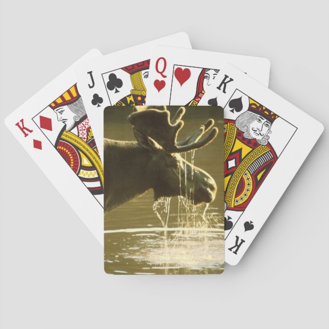 Moose Dipping His Head Into Water Playing Cards (Back)