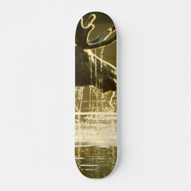 Moose Dipping His Head Into Water Skateboard (Front)
