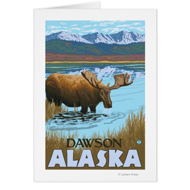 Moose Drinking at Lake - Dawson, Alaska (Front)