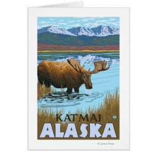 Moose Drinking at Lake - Katmai, Alaska