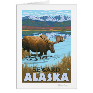 Moose Drinking at Lake - Seward, Alaska