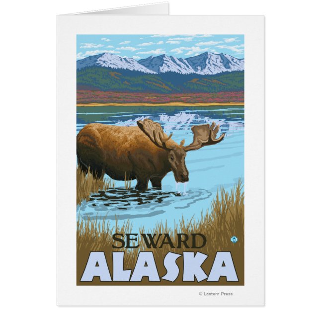 Moose Drinking at Lake - Seward, Alaska (Front)