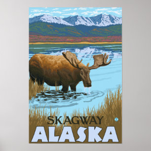 Moose Drinking at Lake - Skagway, Alaska Poster