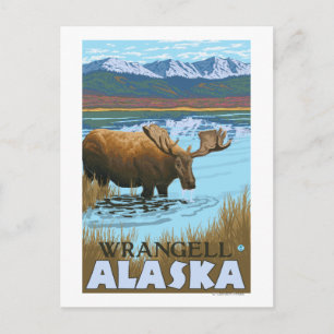 Moose Drinking at Lake - Wrangell, Alaska Postcard