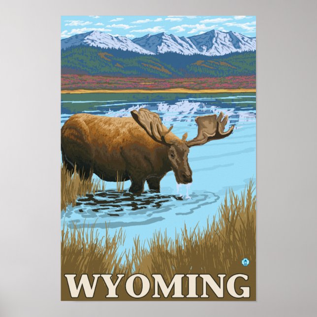 Moose Drinking at Lake - Wyoming Poster (Front)