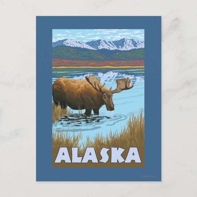 Moose Drinking Water Vintage Travel Poster Postcard (Front)