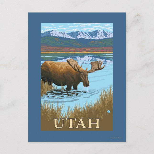 Moose DrinkingUtah Postcard (Front)