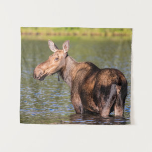 Moose Feeding in Glacier National Park, Montana Tapestry