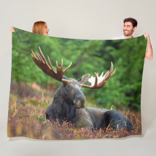 Moose Fleece Blanket