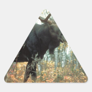 Moose Forest Trees Park Animal Wildlife Art Triangle Sticker