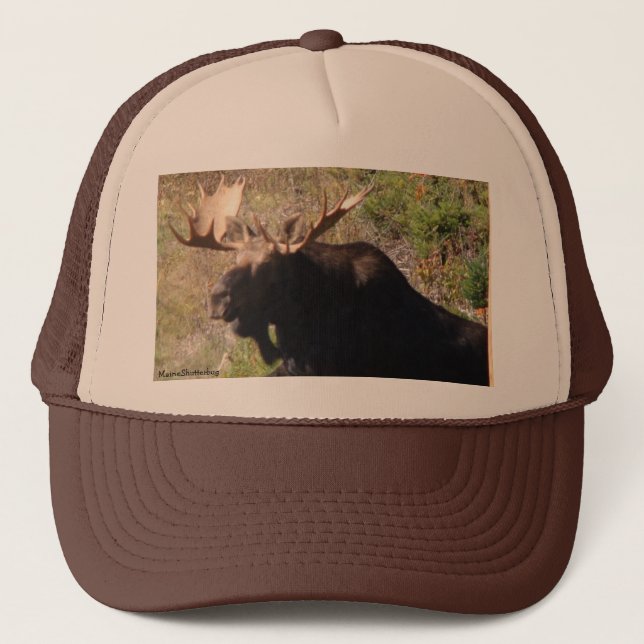 Moose Hat (Front)
