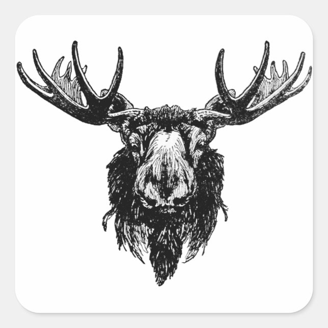 Moose head square sticker (Front)