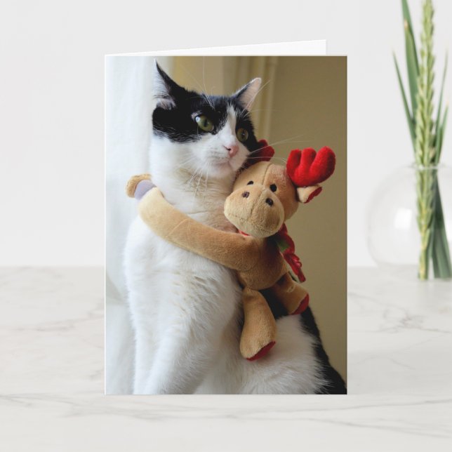 Moose Hugging Kitty Cat Christmas Greeting Card (Front)