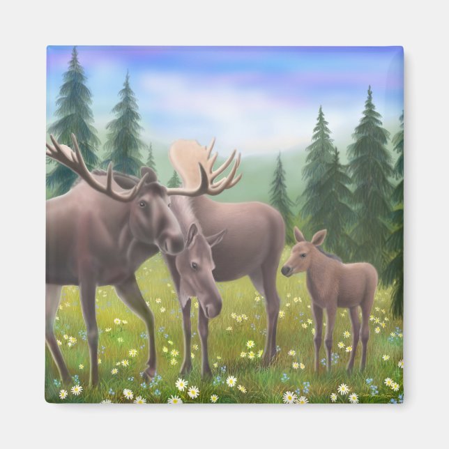 Moose in a Northern Forest Magnet (Front)