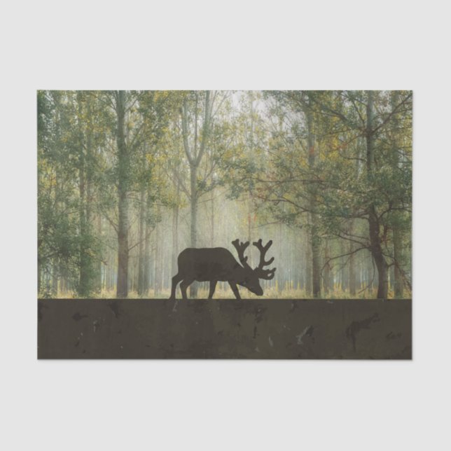 Moose in Forest Illustration Tissue Paper (Front)