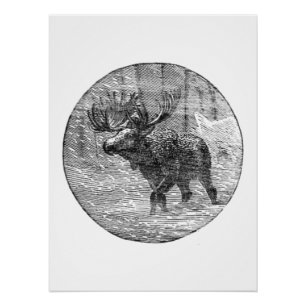 Moose in Snow Emblem Poster